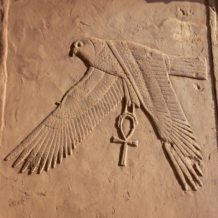 Il falco di Horus